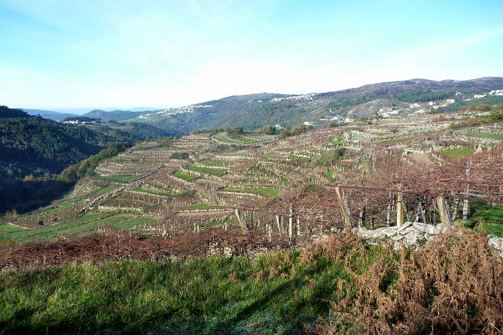 130- Paisagem.jpg